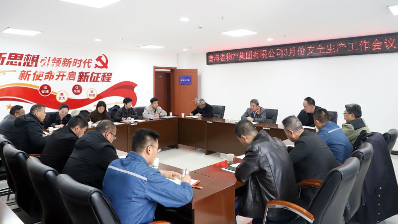 集團(tuán)召開2025年3月份安全生產(chǎn)工作會(huì)議