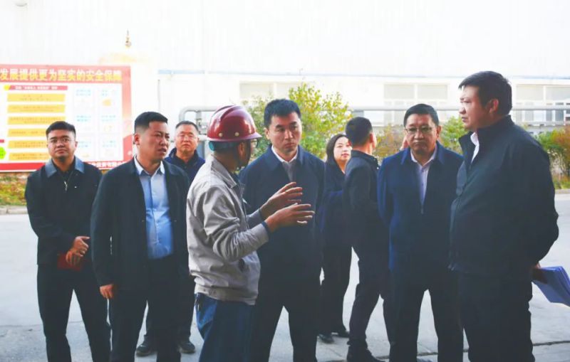 大通縣委副書記、縣長馬明旭一行蒞臨工投公司調(diào)研指導