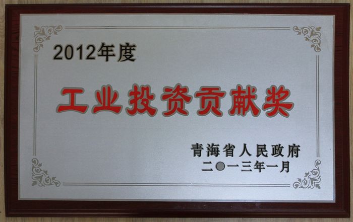 集團(tuán)榮獲2012年度青海省人民政府&ldquo;工業(yè)投資貢獻(xiàn)獎&rdquo;